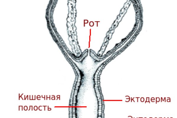 Кракен нет