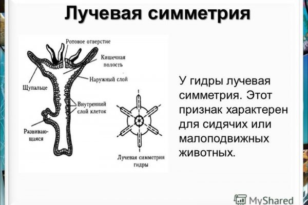 Как пополнить баланс кракен